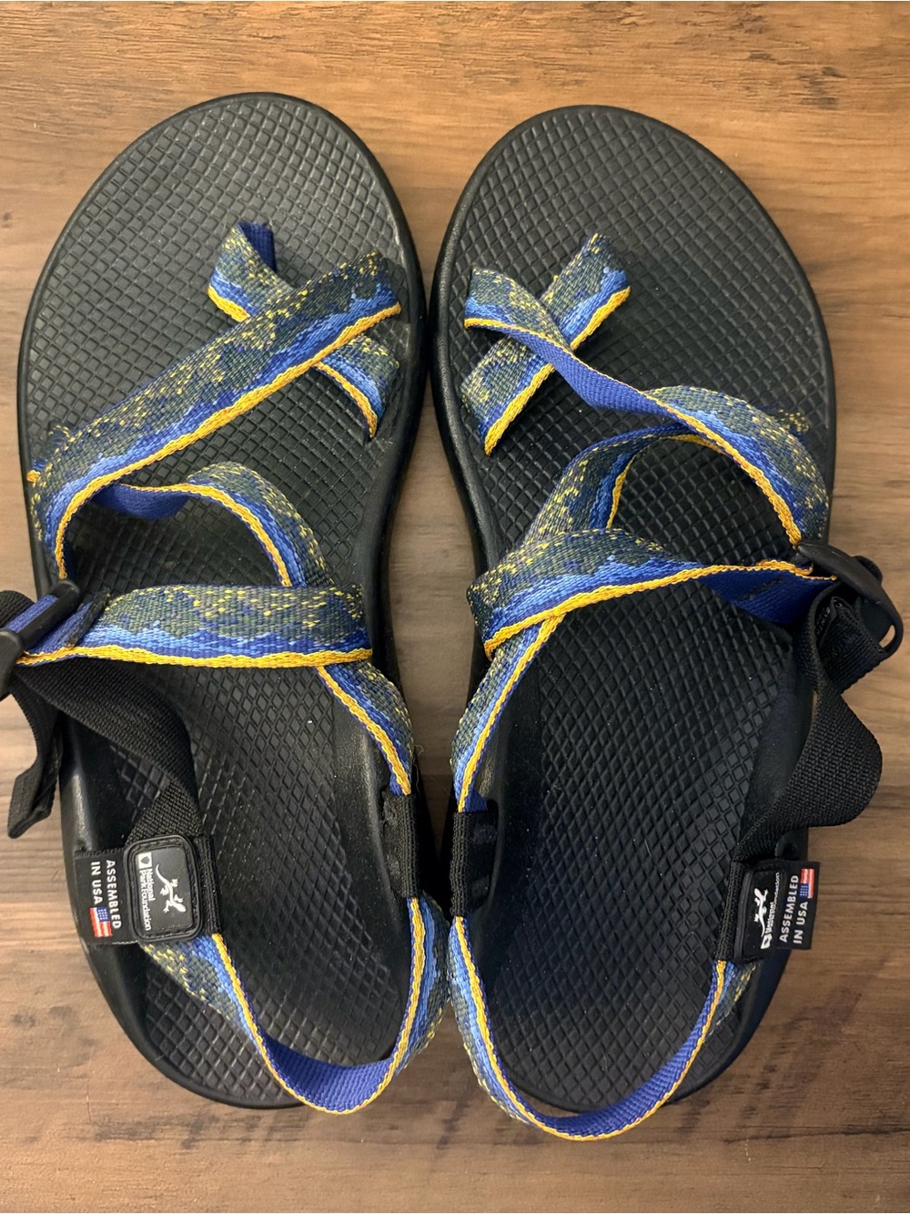 NWOT Chaco Sandals - National Park Foundation Limited Edition - Men’s 9
